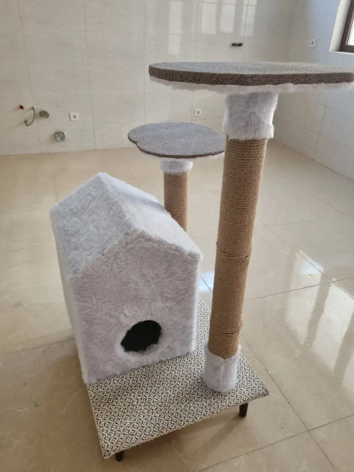 خانه و اسکرچر گربه|گربه|یزد, |دیوار