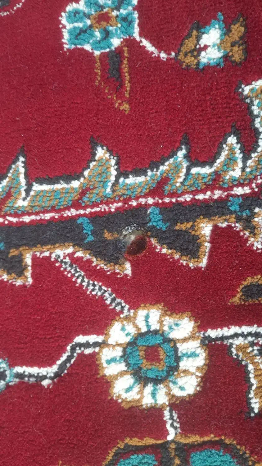 فرش ۱۲متری|فرش|اقبالیه, |دیوار