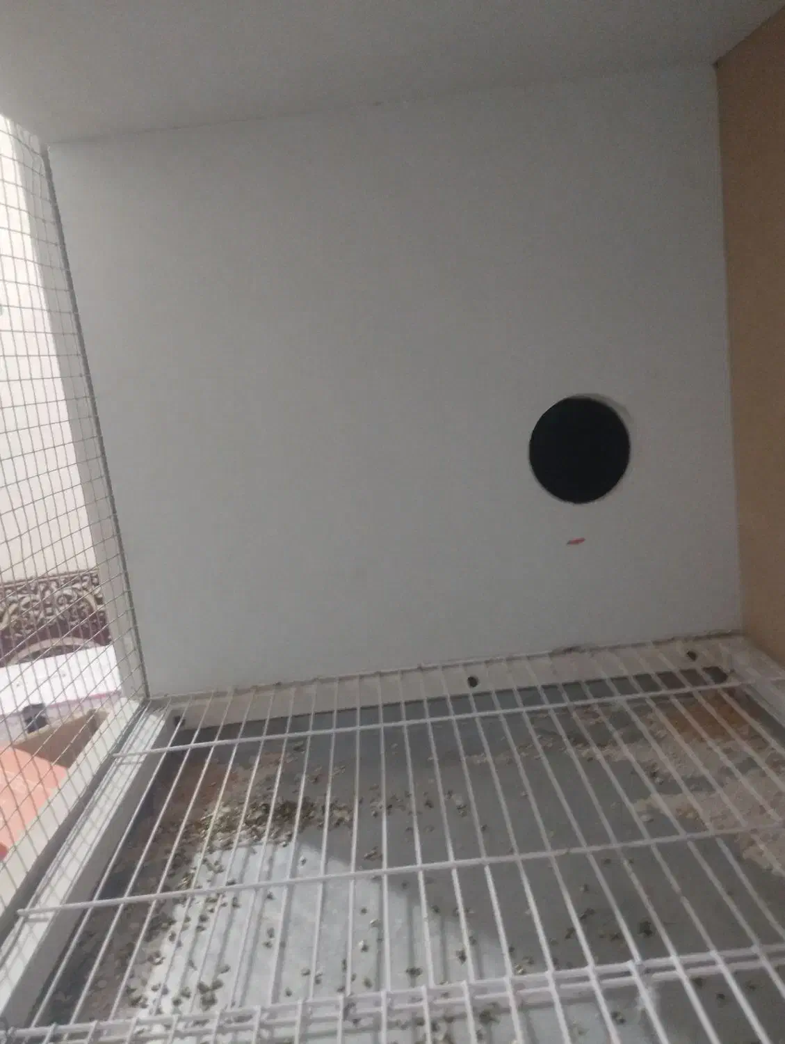 قفس pvc|لوازم جانبی حیوانات|سراوان, |دیوار