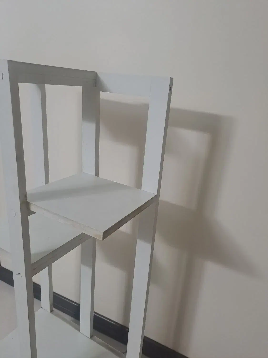 پایه گل|گل و گیاه طبیعی|ری, دولتآباد|دیوار