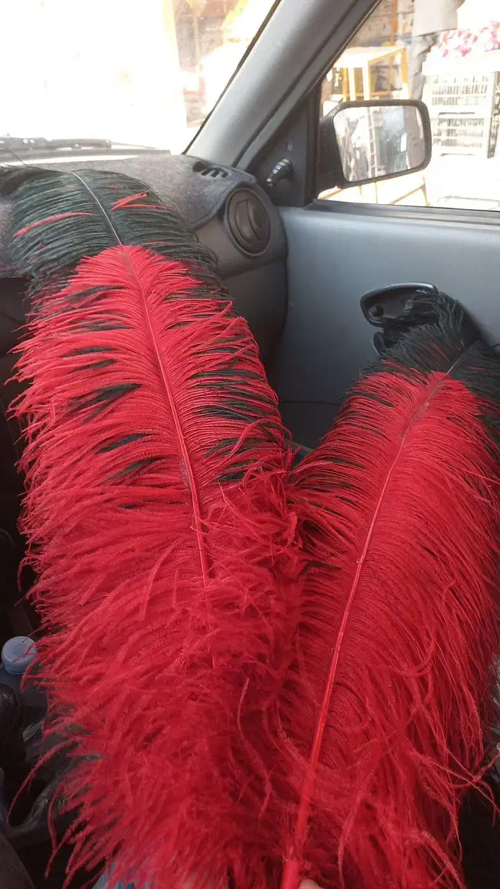 پر تعزیه|زیورآلات و اکسسوری|چترود, |دیوار