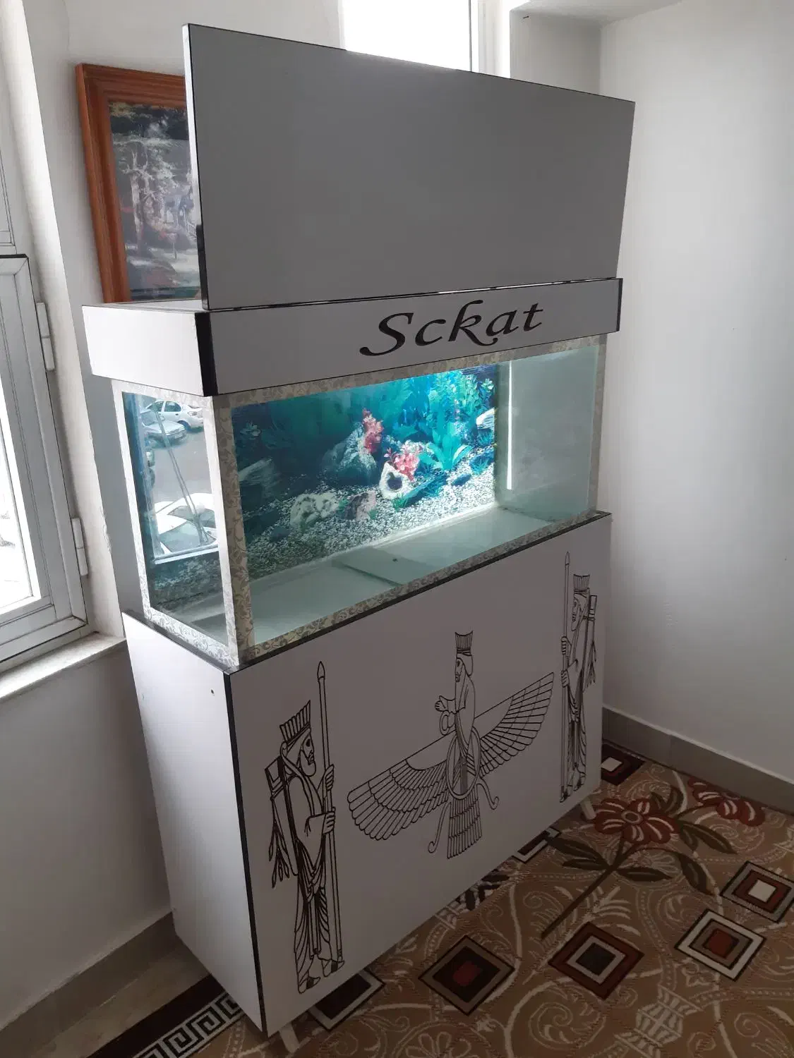 آکواریوم|ماهی|اردبیل, |دیوار