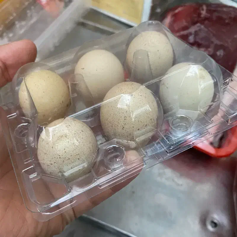 تولید وپخش تخم مرغ بومی.بلدرچین.|خوردنی و آشامیدنی|نجف‌آباد, شهدا|دیوار