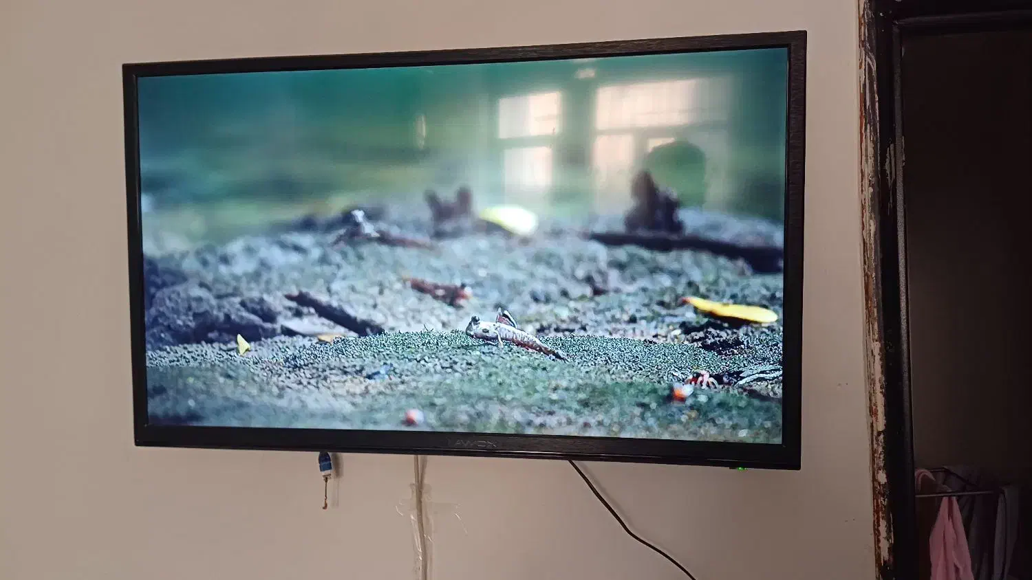 تلویزیون آواکس ال ای دی|تلویزیون و پروژکتور|مشهد, ابوذر|دیوار