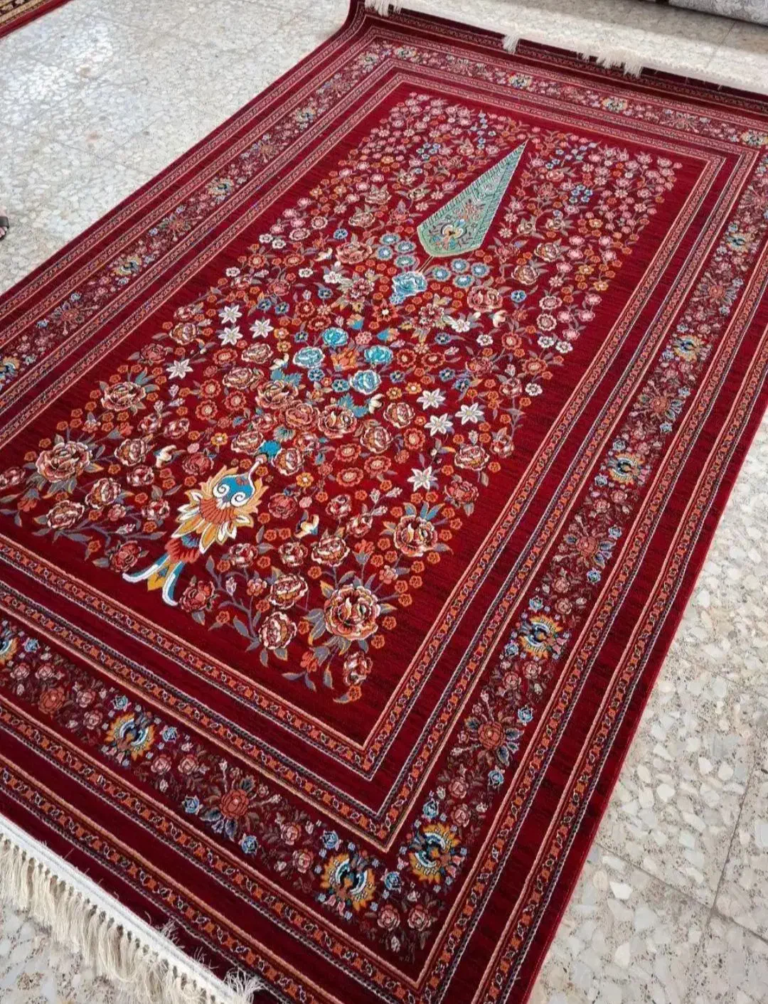 تعدادی فرش عمده وخورده|فرش|شیراز, میانرود|دیوار