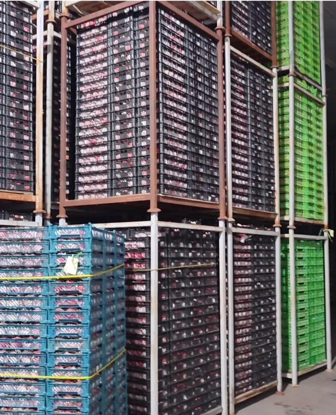 نیاز به راننده لیفتراک|استخدام حمل و نقل|صوفیان, |دیوار