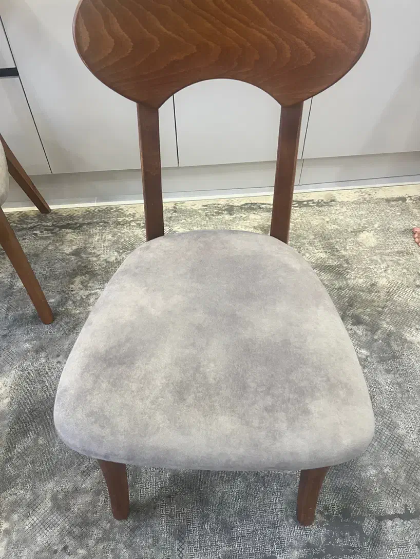 صندلی ناهارخوری برند فاما|میز و صندلی غذاخوری|رشت, حسین آباد|دیوار