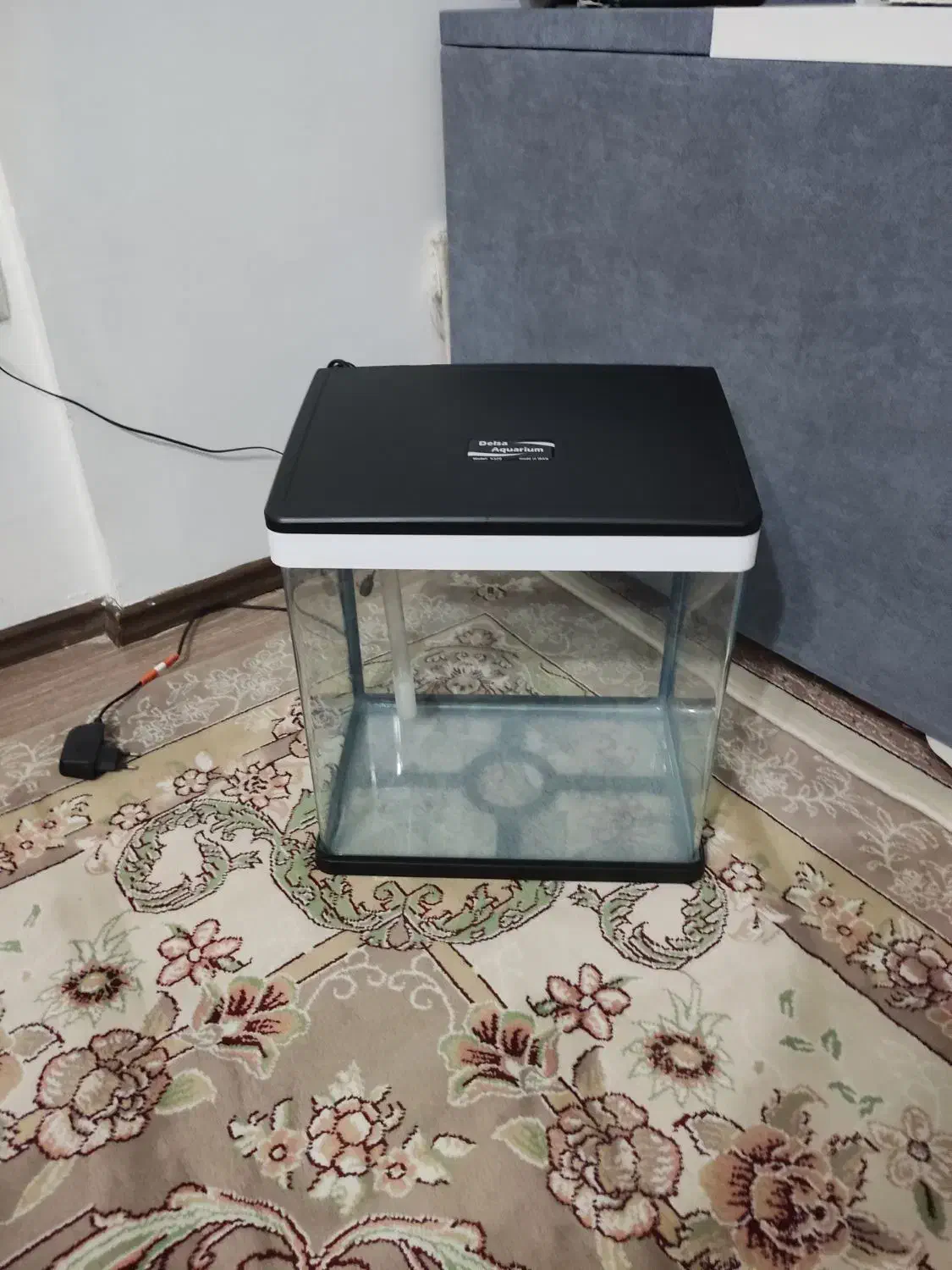 آکواریوم شرکتی|ماهی|پرند, فاز ۵|دیوار