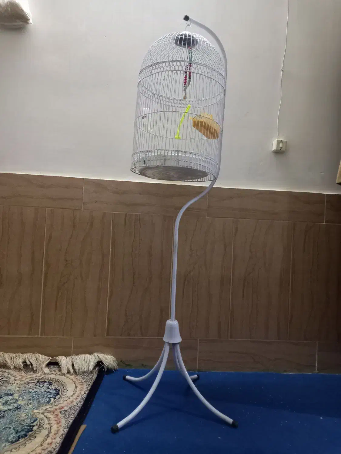 قفس|لوازم جانبی حیوانات|نیشابور, شهید بهشتی|دیوار