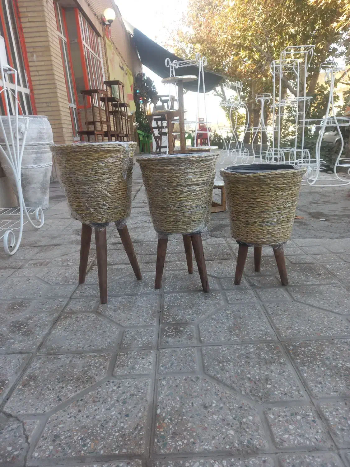 فروش پایه گلدان حصیری سه تایی مدل متنوع|گل و گیاه طبیعی|اصفهان, بوستان ناژوان|دیوار