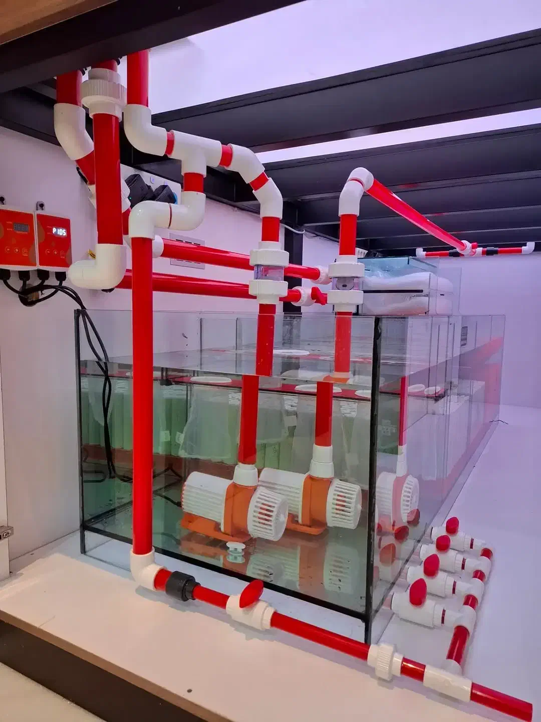 خدمات اکواریوم|ماهی|تهران, جردن|دیوار