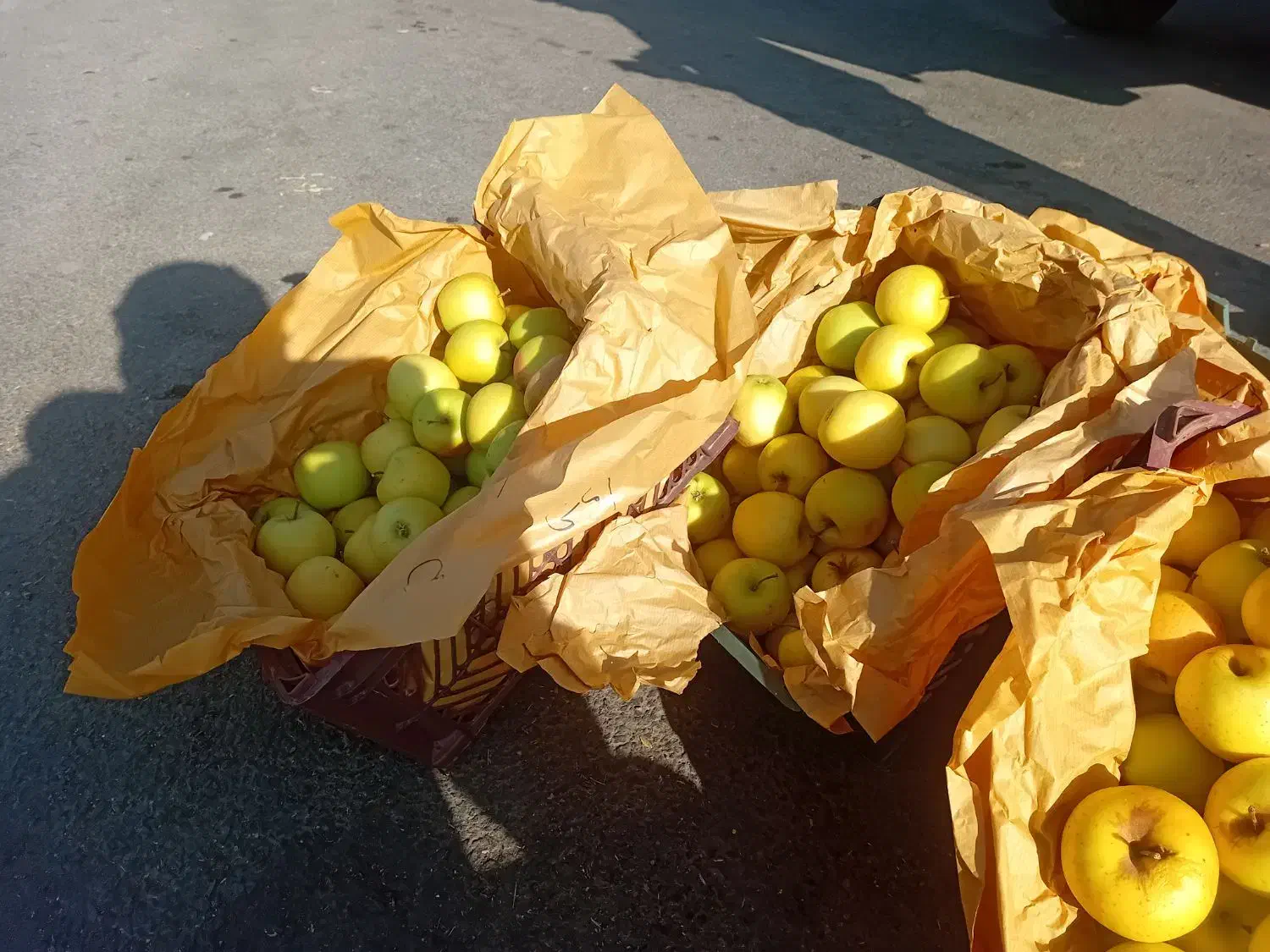 سیب درختی زرد و قرمز|خوردنی و آشامیدنی|باوله, |دیوار