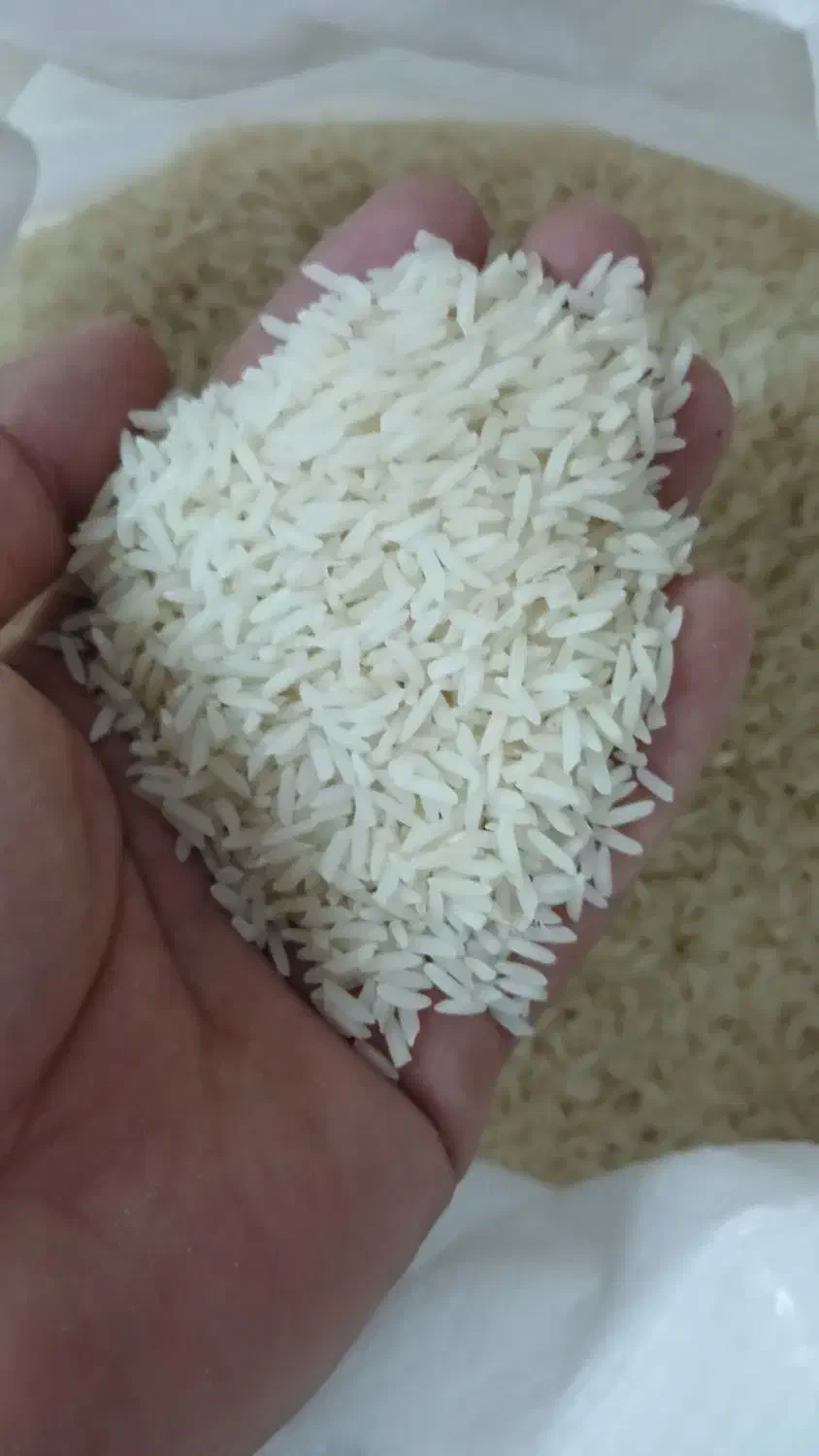 خوردنی و اشامیدنی|خوردنی و آشامیدنی|سیمین شهر, |دیوار