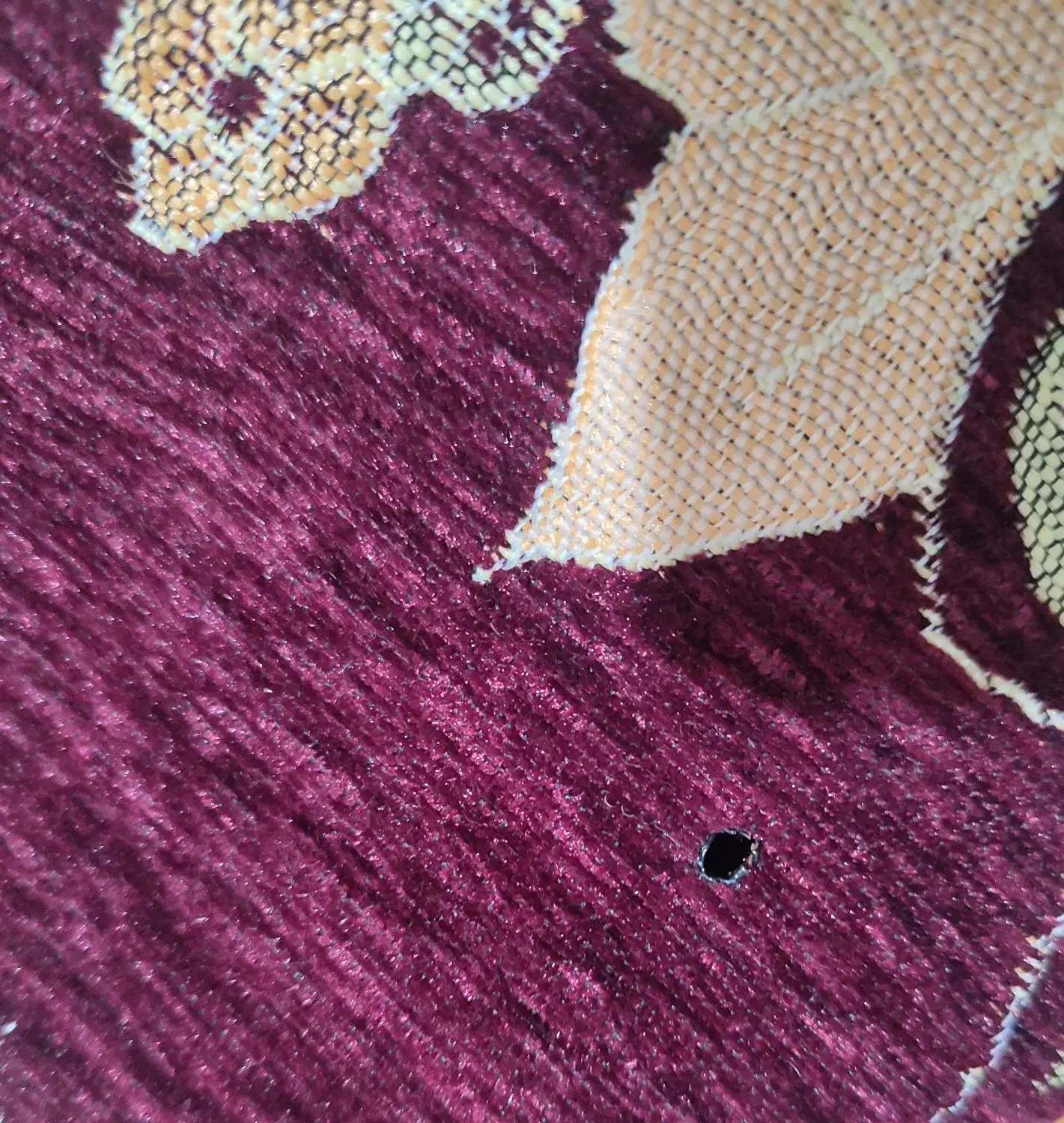 شیش متری|روفرشی|گرگان, |دیوار