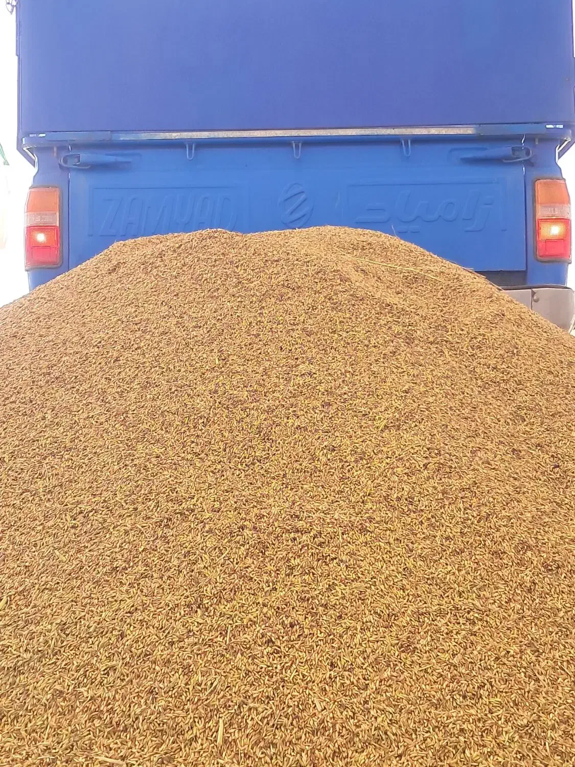 فروش چلتوک عنبربو شوشتر خشک|خوردنی و آشامیدنی|رامهرمز, |دیوار