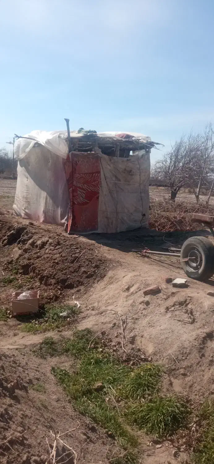 1260 متر زمین|فروش دفتر صنعتی، کشاورزی، تجاری|بناب, |دیوار