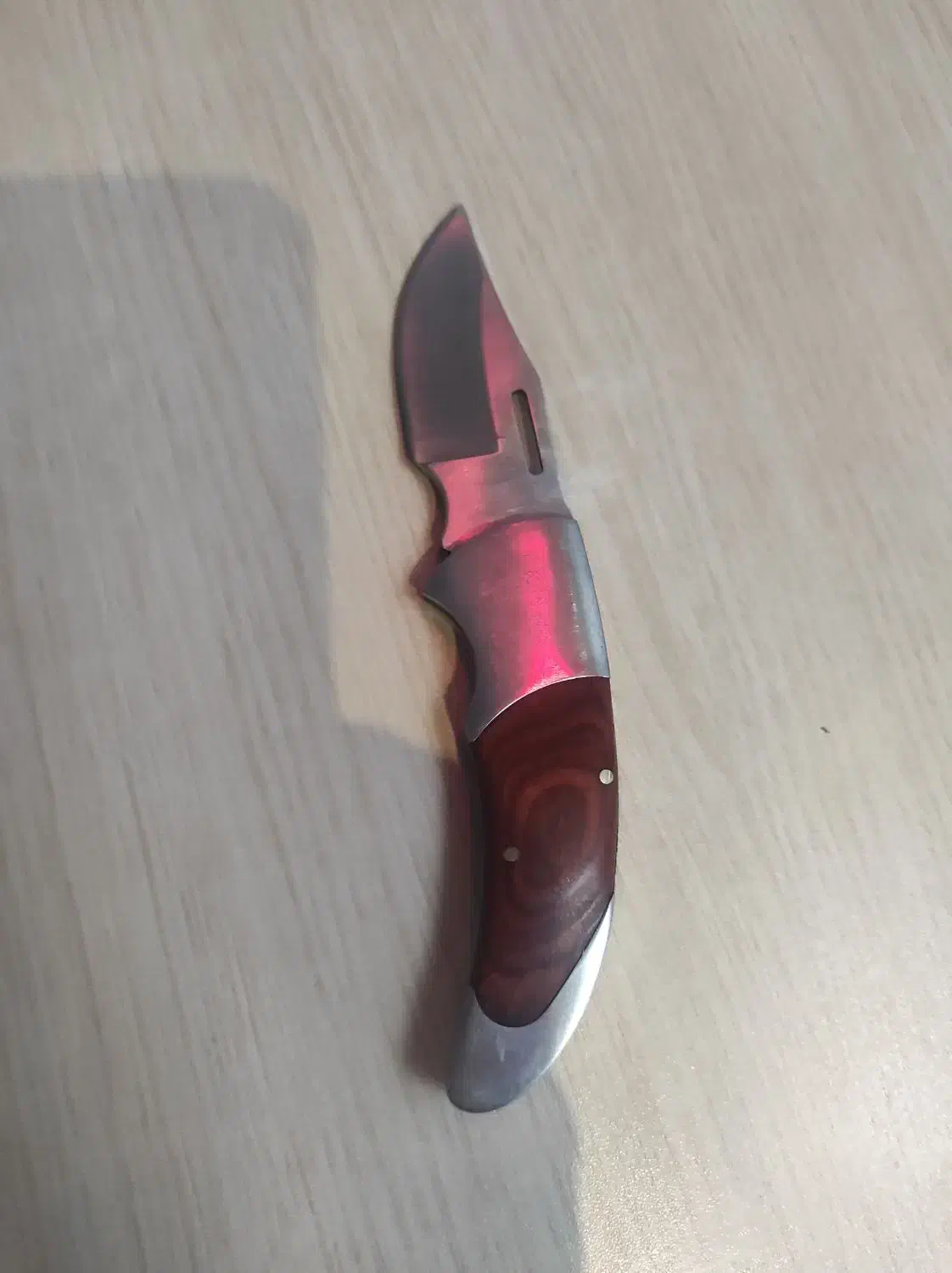 چاقو آشپزخانه وکوهنوردی|کوهنوردی و کمپینگ|سبزوار, گلشن|دیوار