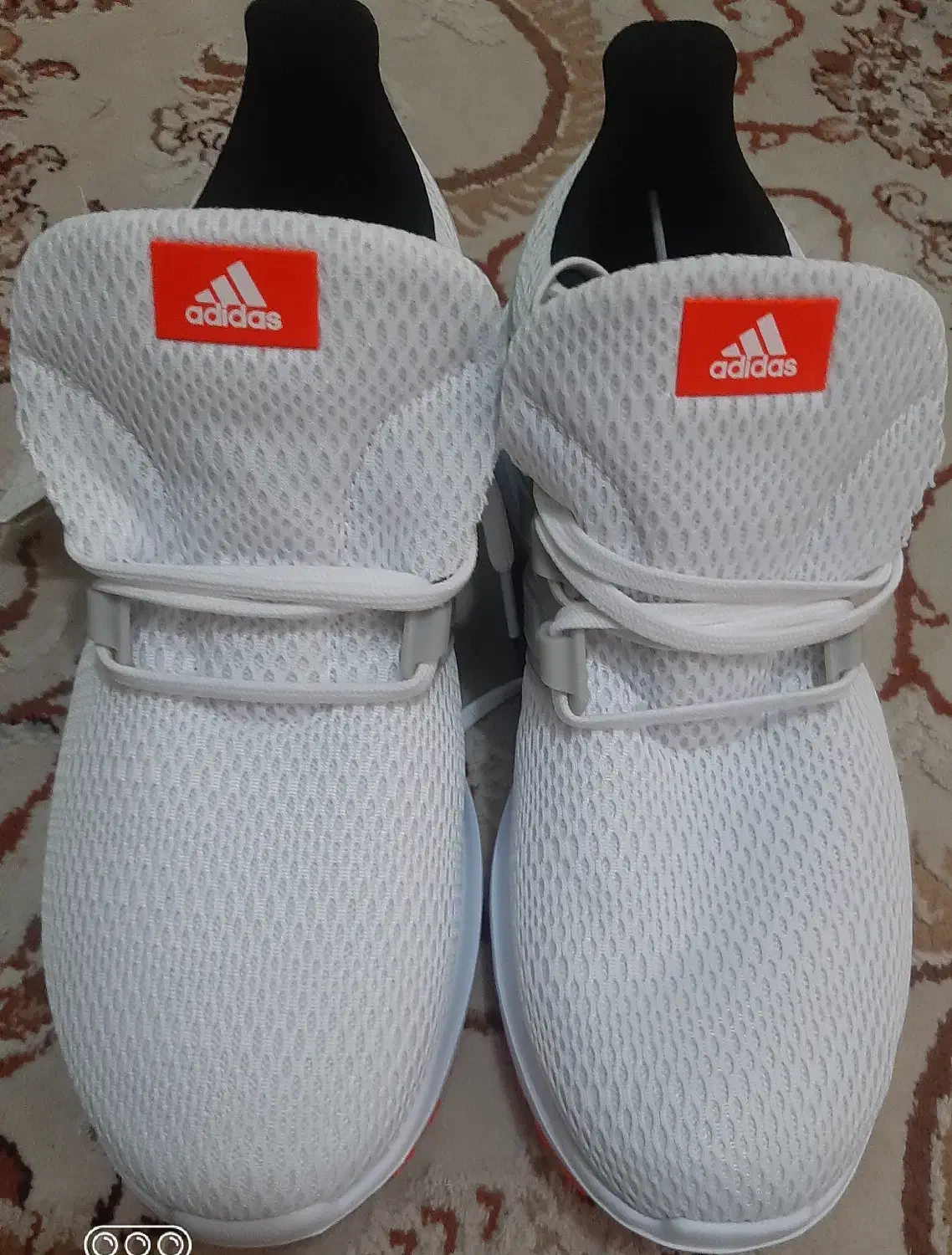 کتانی آدیداس اصل.نو|کیف، کفش، کمربند|بندر انزلی, جزیره|دیوار