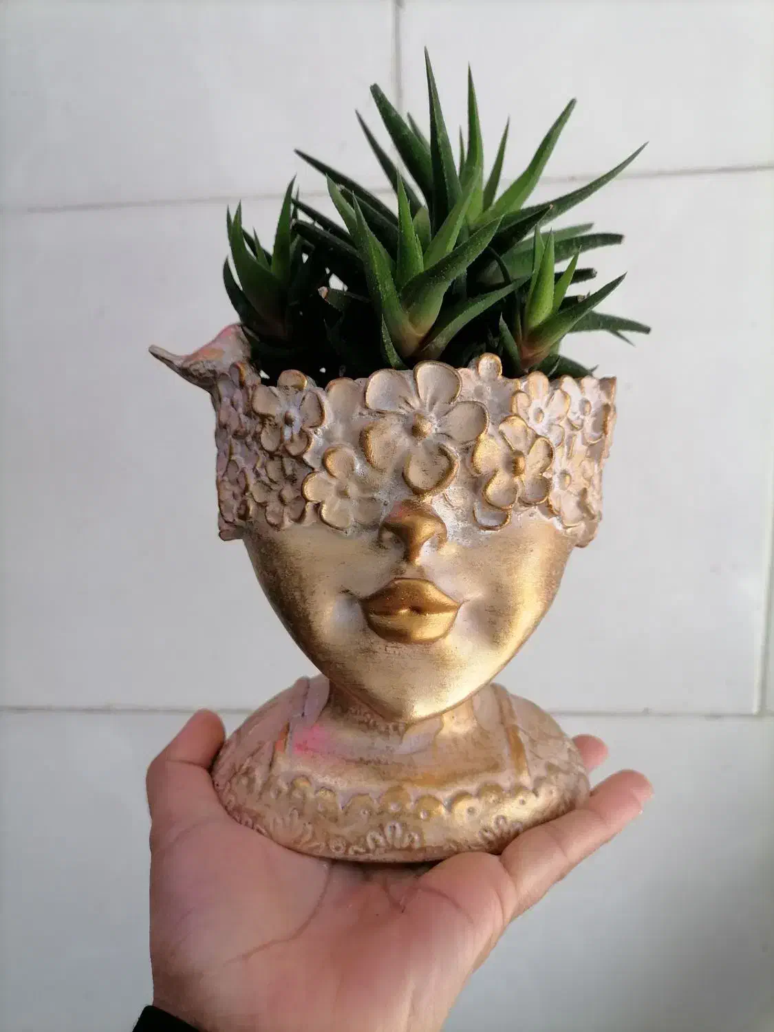 انواع گلدان فانتزی و گل آپارتمانی|گل و گیاه طبیعی|کرمان, |دیوار