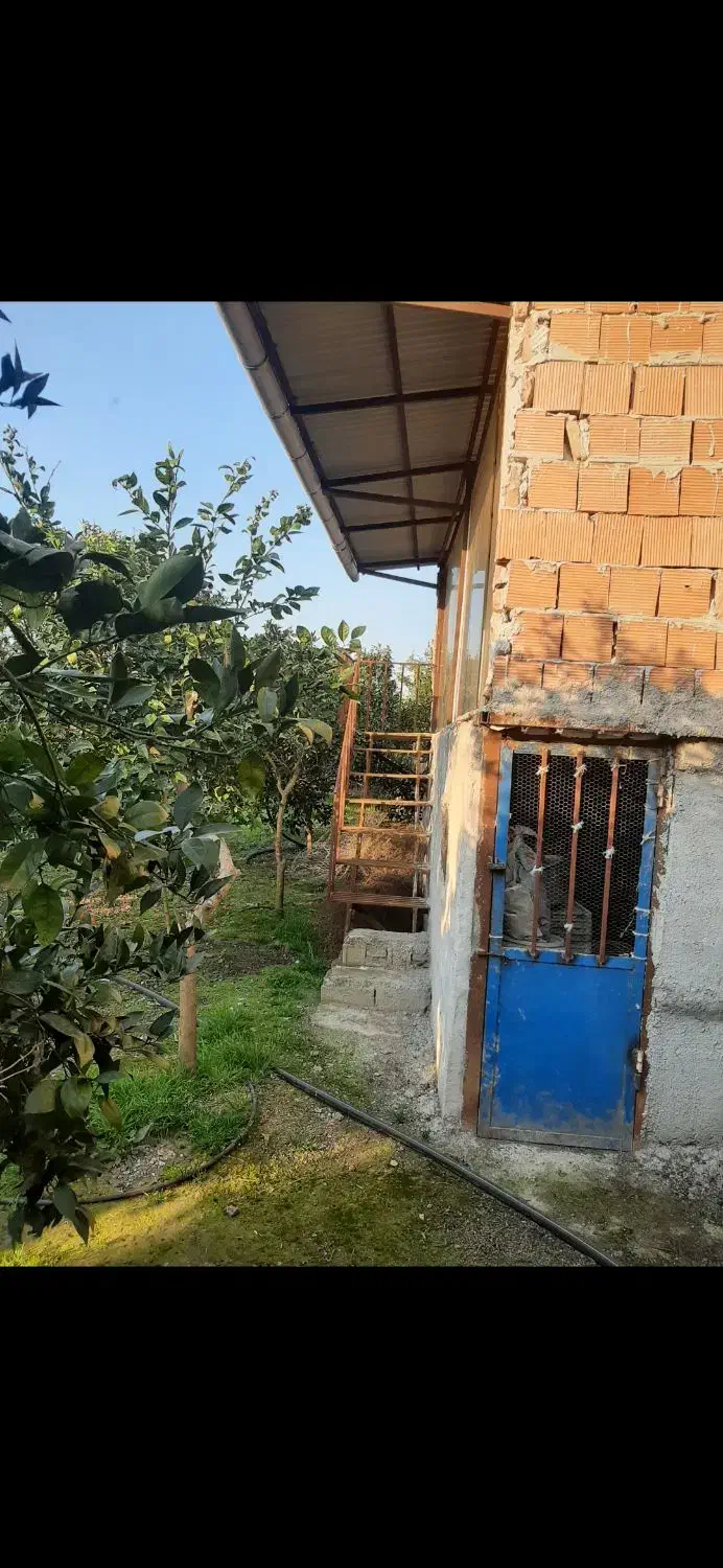 زمین مسکونی باغی|فروش زمین و ملک کلنگی|خوش‌رودپی, |دیوار