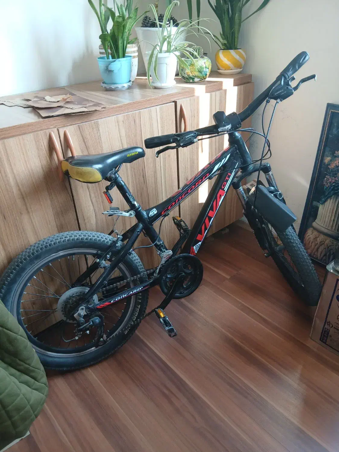 دوچرخه20 برند ویوا|دوچرخه، اسکیت، اسکوتر|پرند, فاز ۱|دیوار