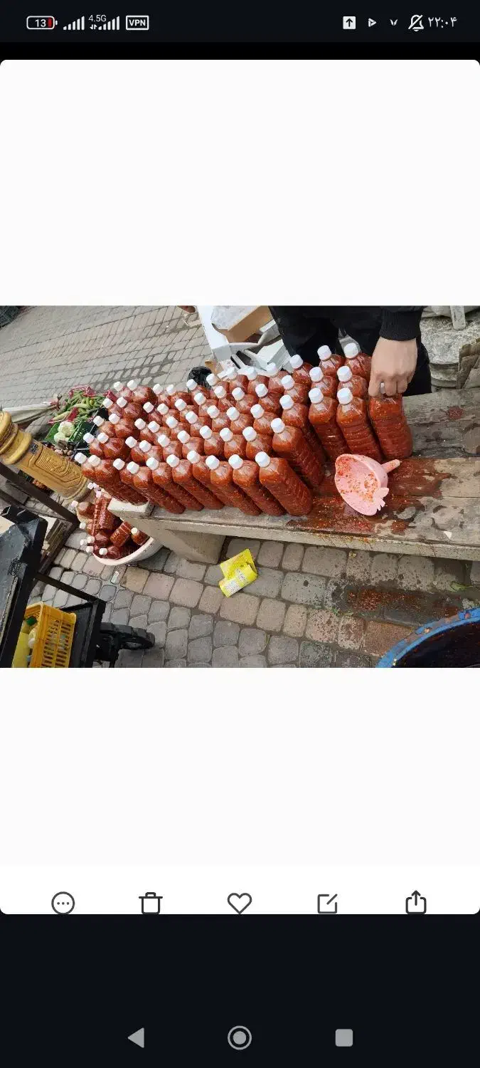 فلفل|عمده‌فروشی|نوشهر, |دیوار