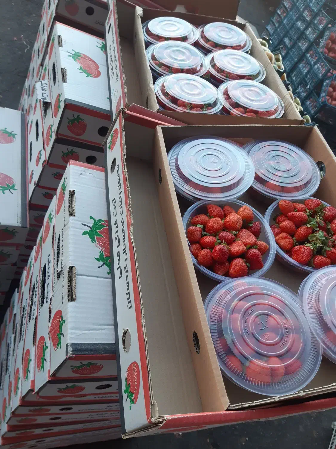 پخش موز وتوت فرهنگی به قنادی وکافه|خوردنی و آشامیدنی|تهران, تهرانسر شمالی|دیوار