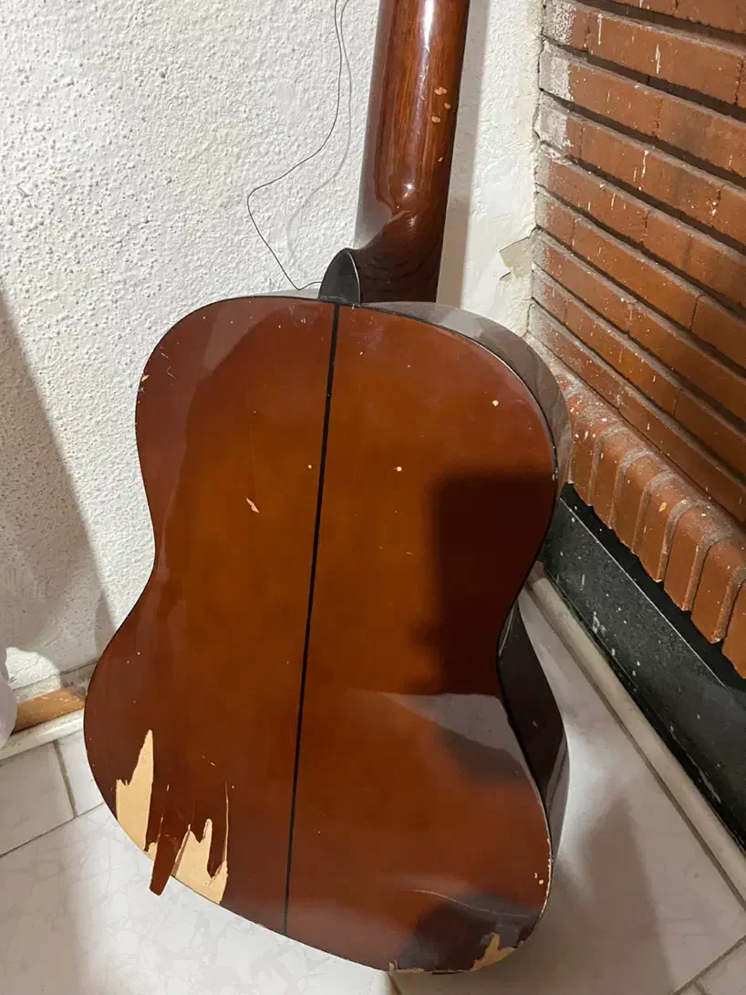 گیتار برند ولنسیا|گیتار، بیس، امپلیفایر|نور, |دیوار