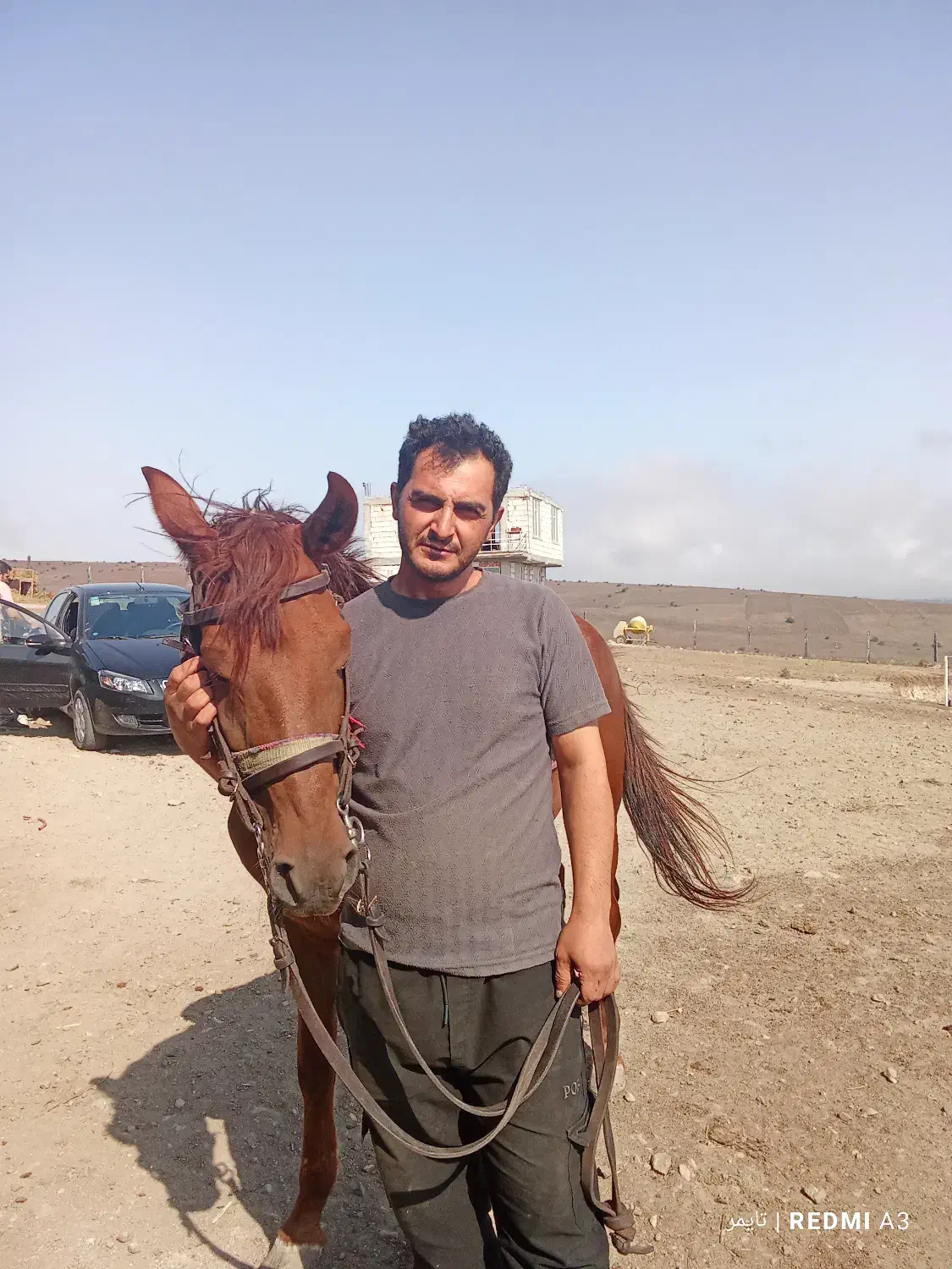 فروش دوراس مادیان|اسب و تجهیزات اسبسواری|نمین, |دیوار