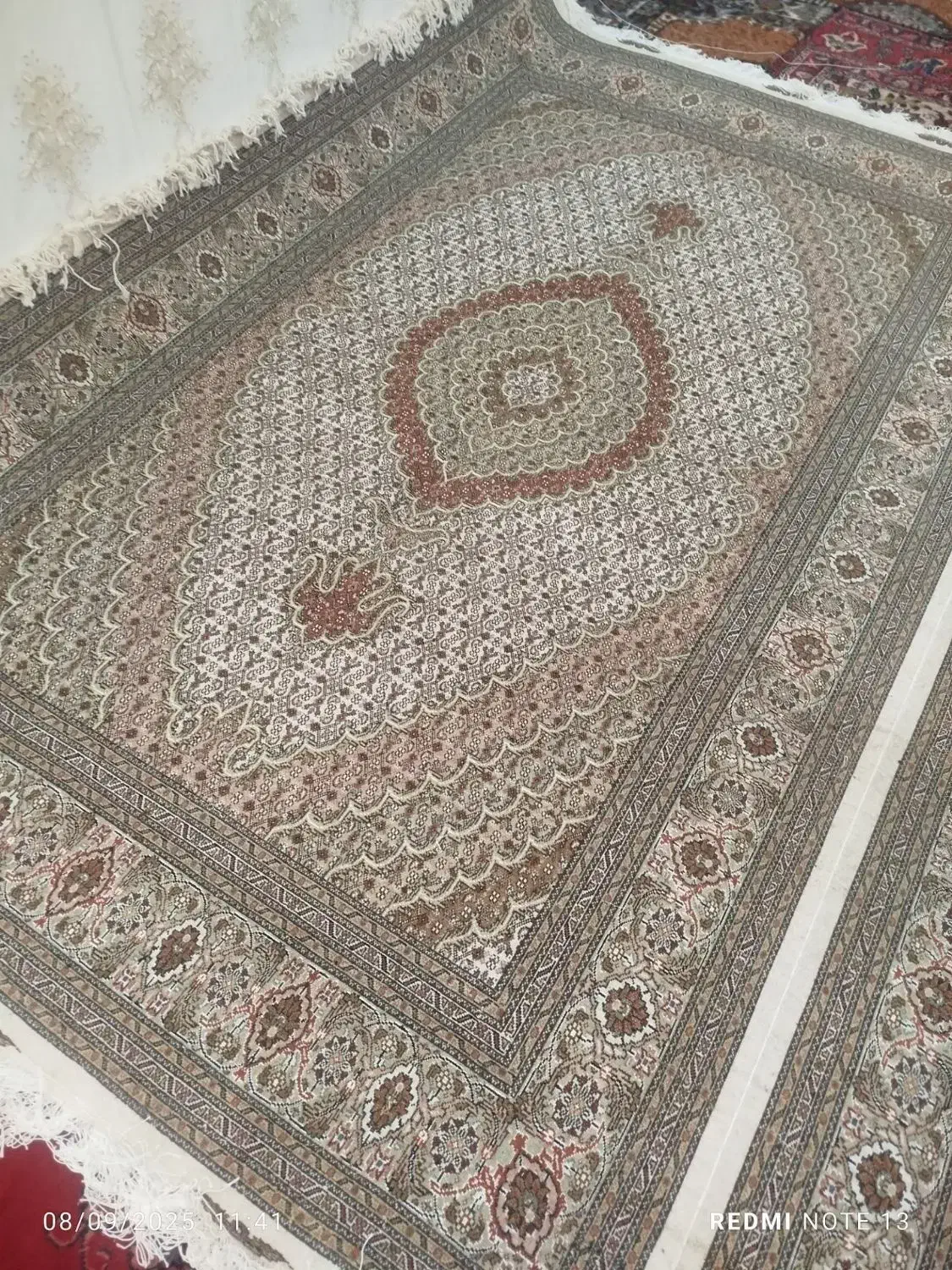 جفت ۶متری هس کرم قهوه‌ای هاشیه ابریشم|فرش|فردیس, فرامرزیه|دیوار