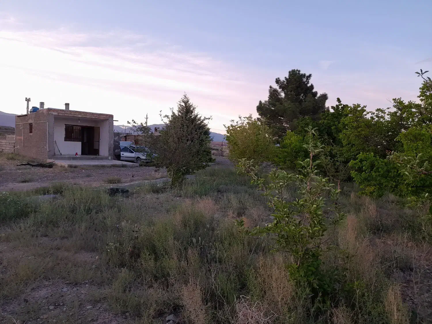 فروش باغ ده محرم دارای آب وبرق و اشتراک گاز شهری|فروش دفتر صنعتی، کشاورزی، تجاری|شاهرود, |دیوار