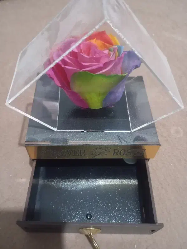 باکس هدیه|گل مصنوعی|مشهد, شهید احمدی روشن|دیوار