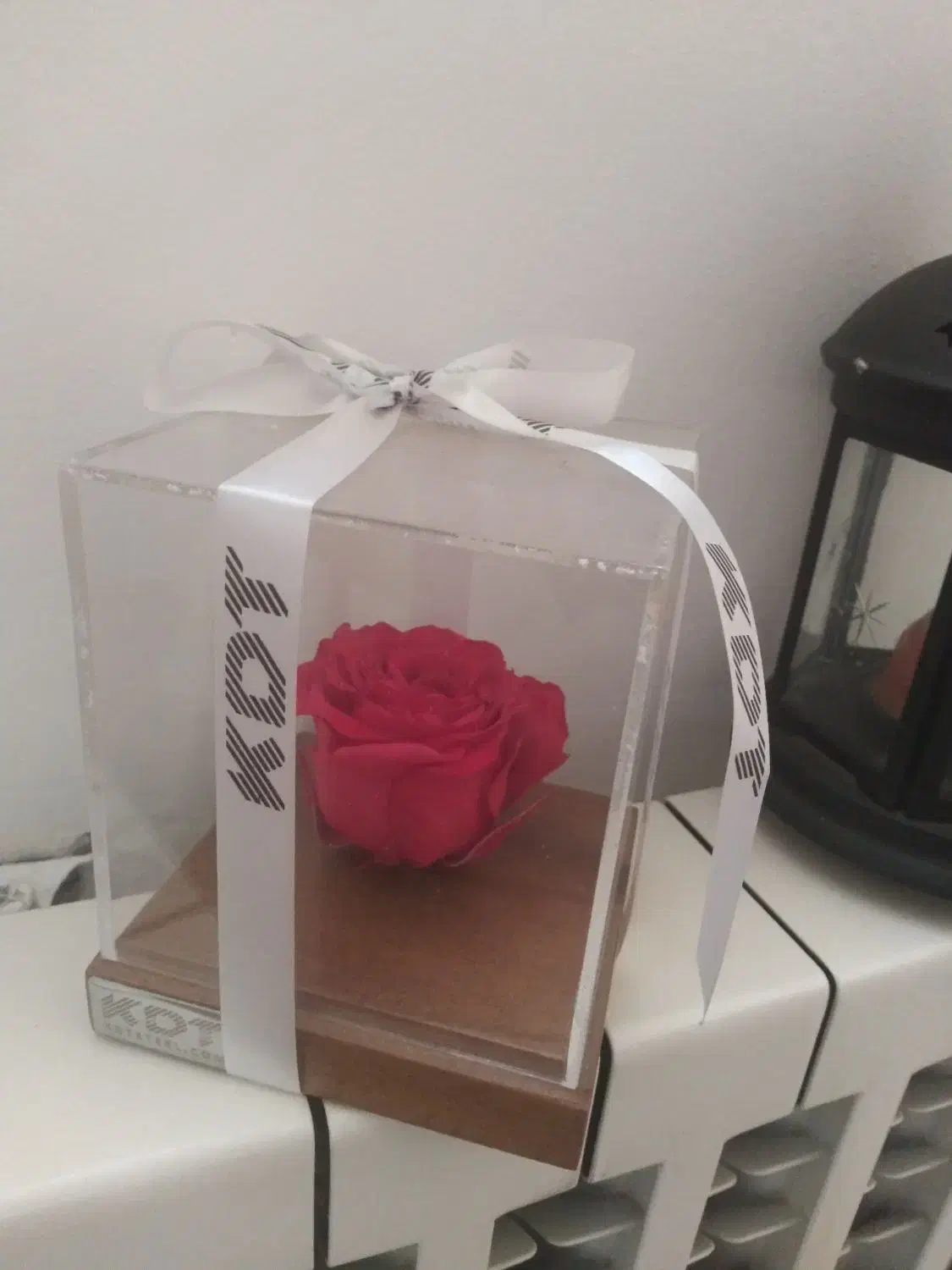 فروش وسایل|مجسمه، تندیس، ماکت|صدرا-فارس, فاز ۱|دیوار