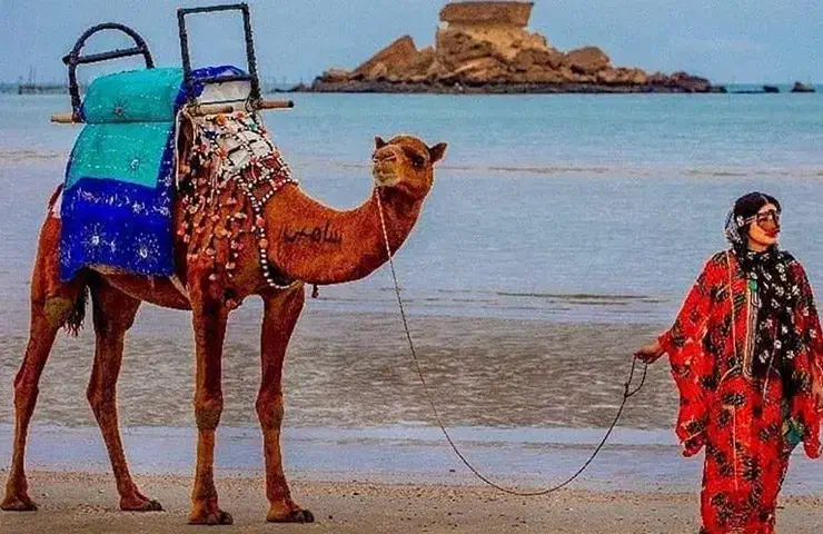 تور حرفه ای قشم|تور و چارتر|شیراز, فخرآباد (دروازه کازرون)|دیوار