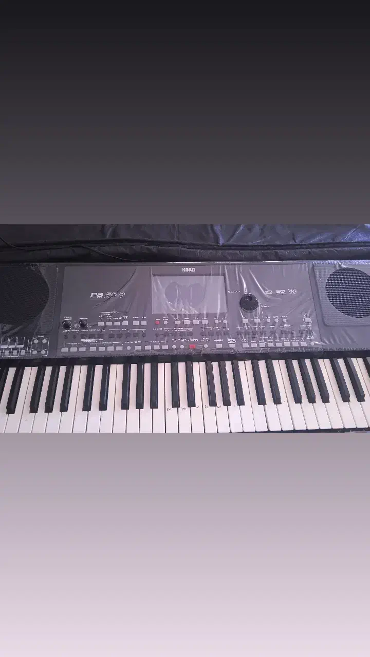 ارگ ۶۰۰|پیانو، کیبورد، آکاردئون|شیراز, شهرک استقلال|دیوار