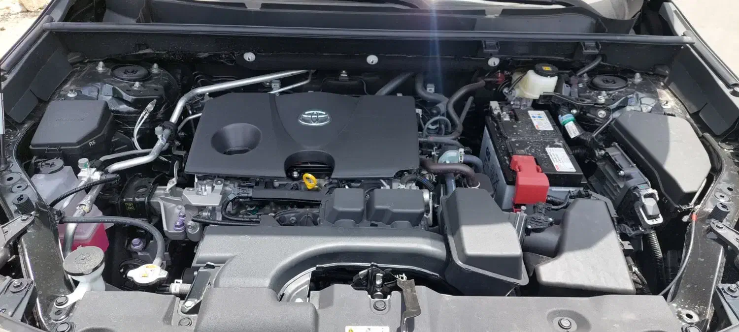 اطلاعاتی در مورد تویوتا رافور دارید|فعالیت داوطلبانه تحقیقاتی|بوشهر, |دیوار