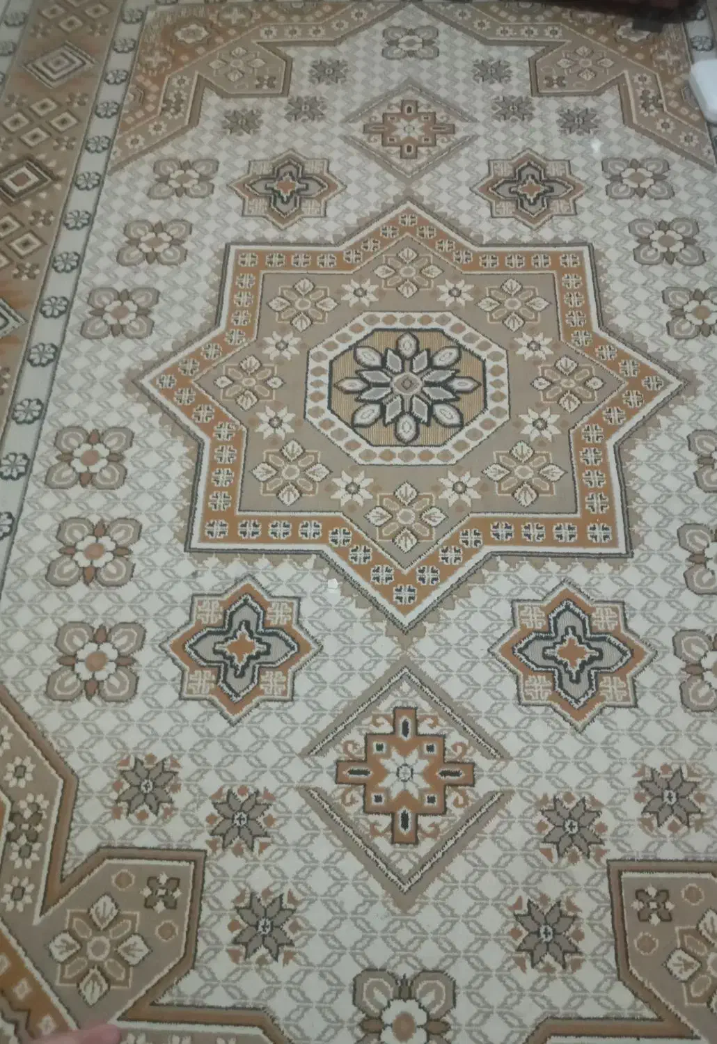 گلیم فرش گل برجسته شش متری|گلیم، جاجیم، گبه|رشت, حافظ آباد|دیوار