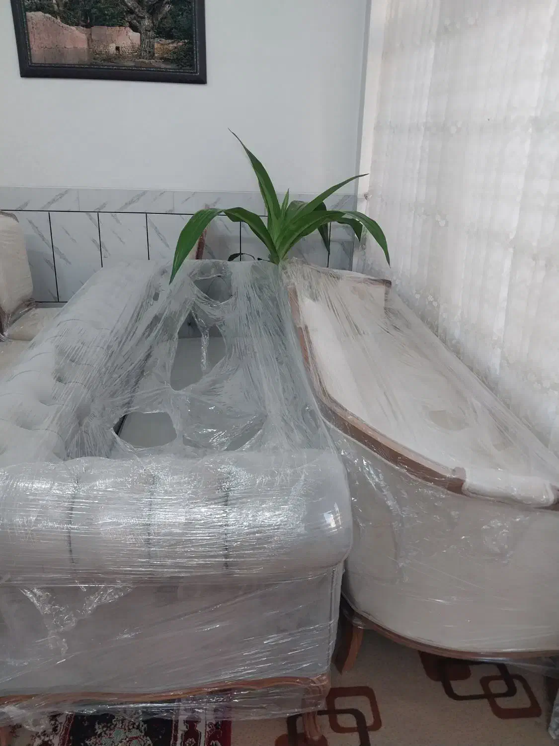 مبلمان ۸ نفره + میز ناهار خوری ۶ نفره|مبلمان خانگی و میز عسلی|ابریشم, |دیوار