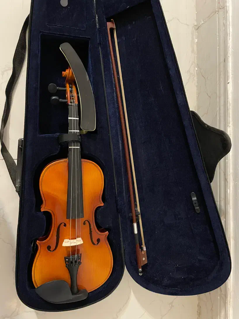 ویولن|ویولن|شهرکرد, |دیوار