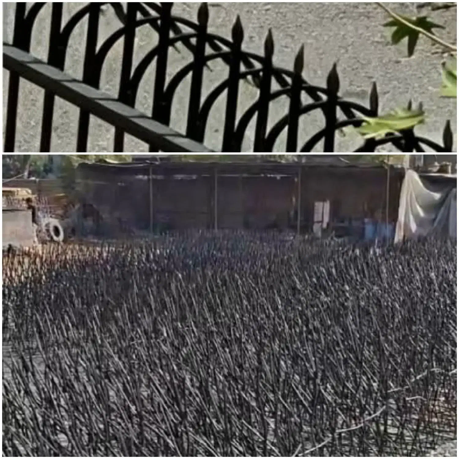 حفاظ شاخ گوزنی و نرده (باهرمبلغی) شروع ازمتری۳۵۰ت|مصالح و تجهیزات ساختمان|قم, نیروگاه|دیوار