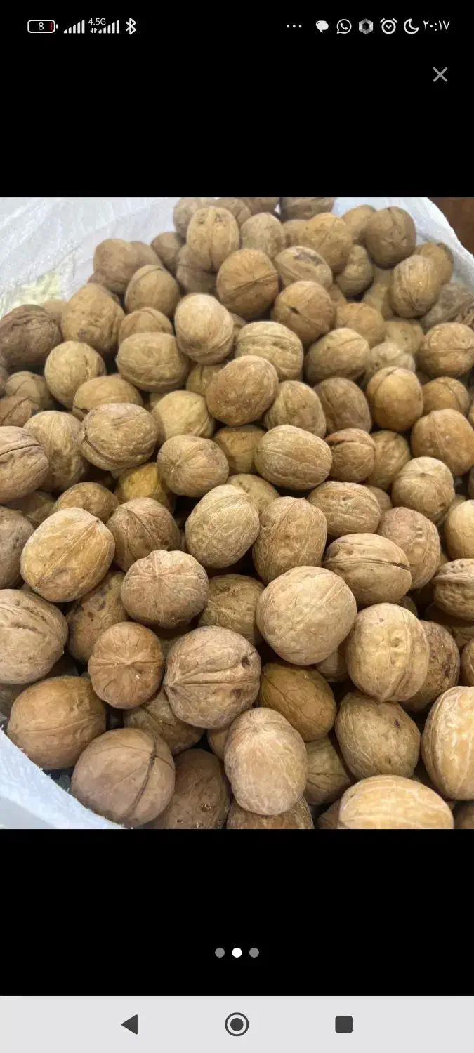 خریدار گردو ایرانی|خدمات باغبانی و درختکاری|شیراز, سعدیه جنوبی|دیوار