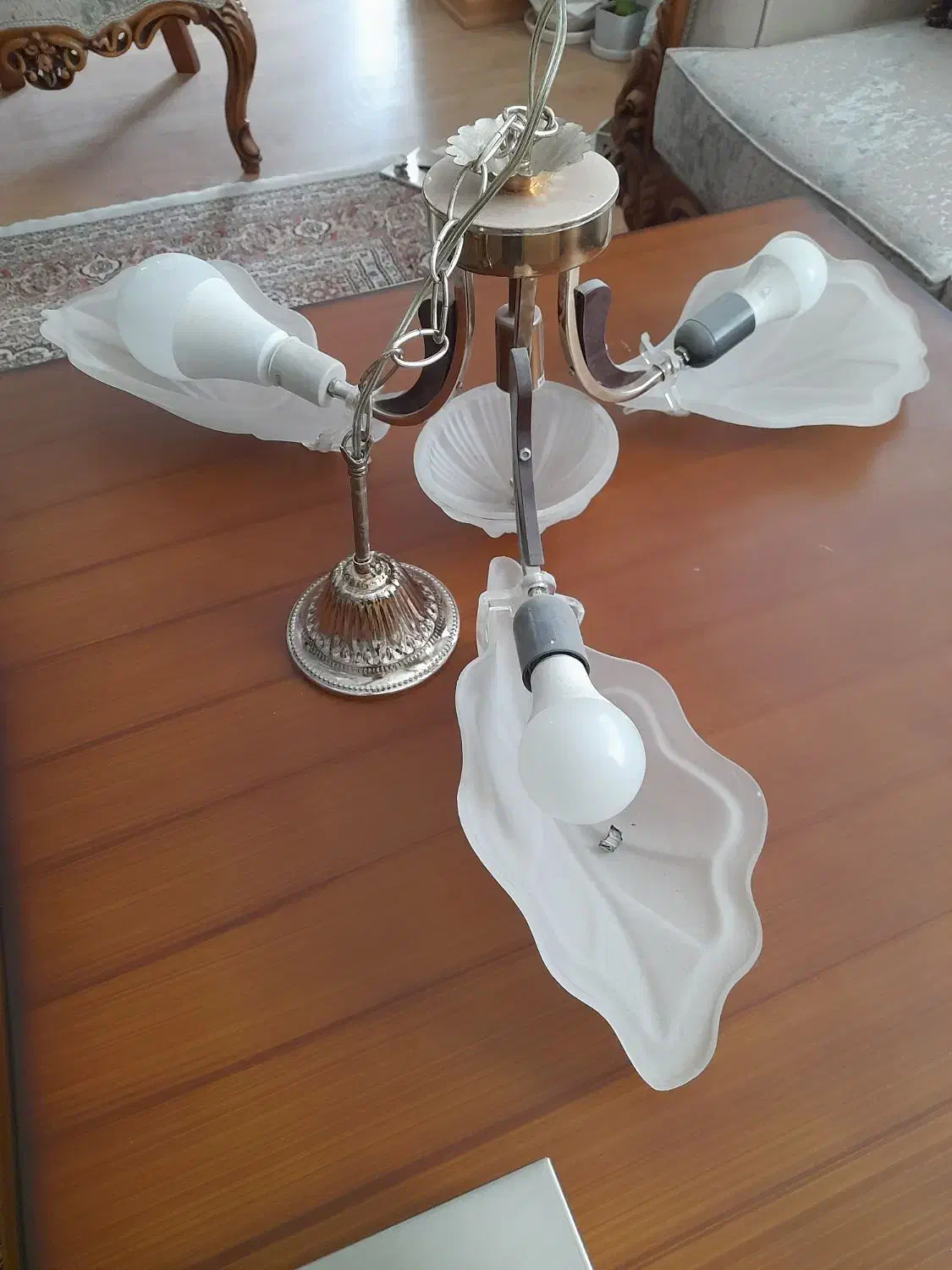 لوستر|لوستر و چراغ آویز|اردبیل, |دیوار