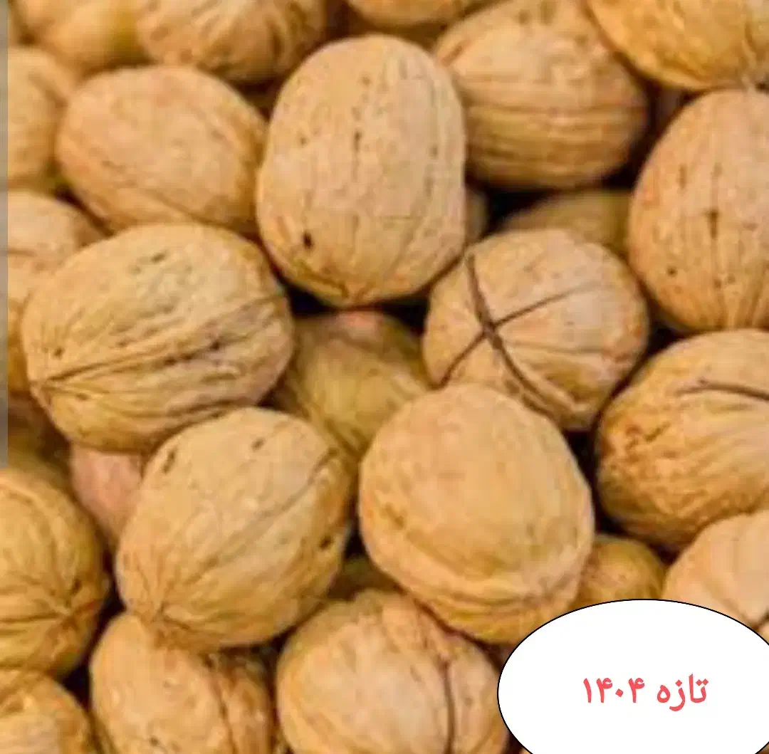 گردوی کاغذی تازه درجه یک|خوردنی و آشامیدنی|ربط, |دیوار