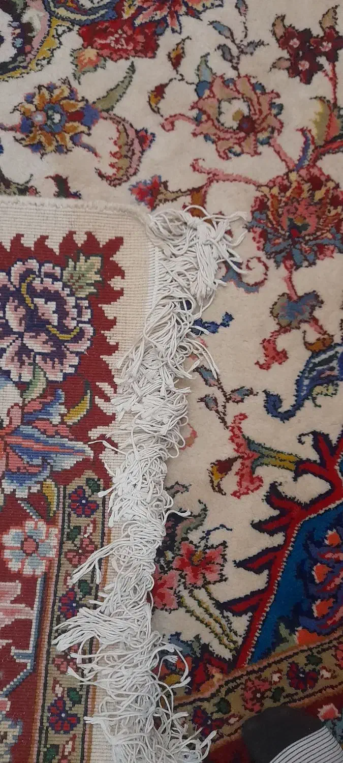 فرش سالاری در سهند|فرش|صوفیان, |دیوار