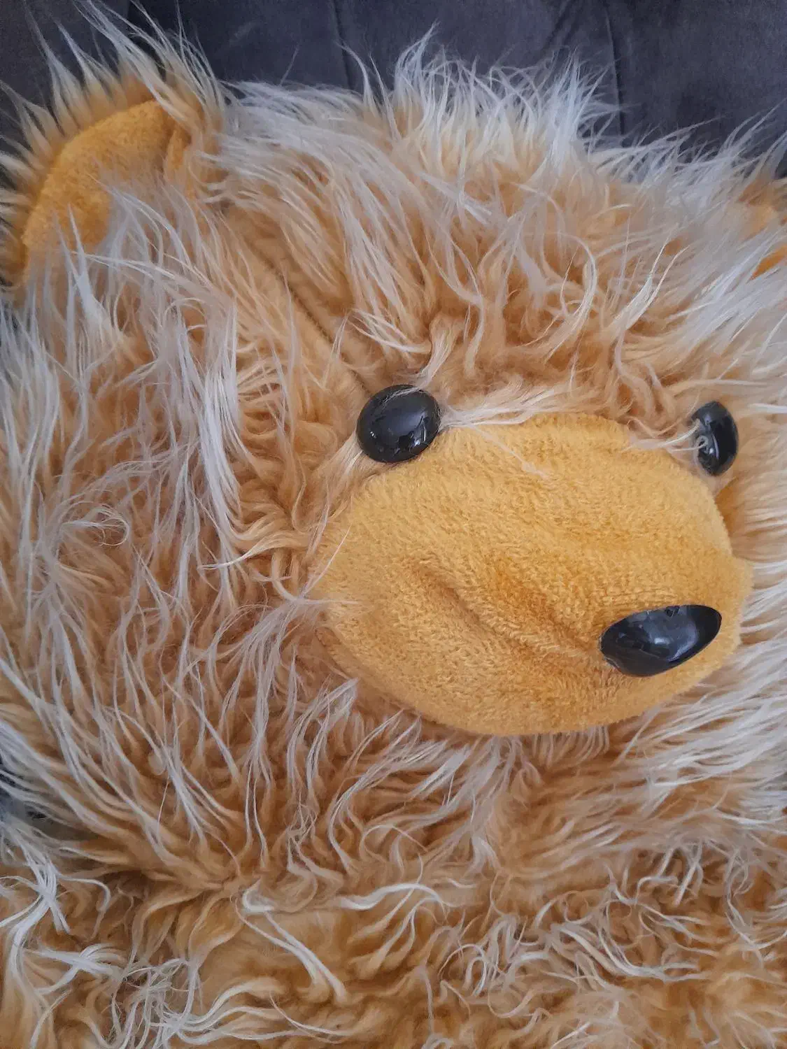 عروسک خرس|اسباببازی|شاهرود, |دیوار