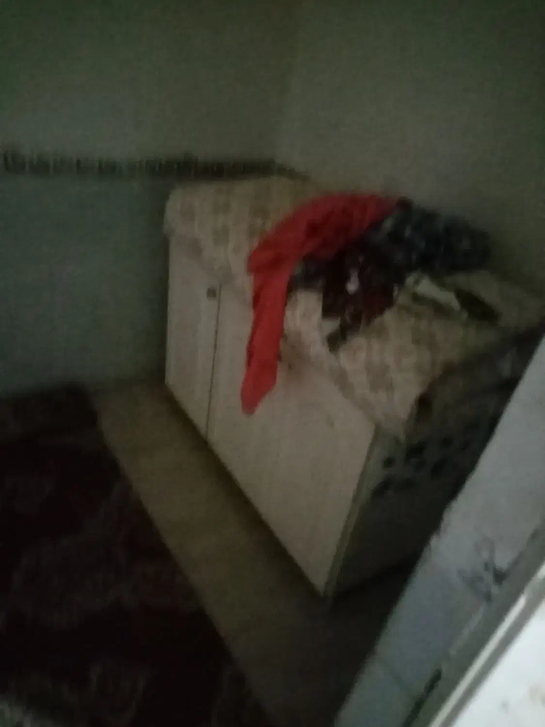 ساختمان های فروشی با متراژ های متفاوت درشریف اباد|فروش خانه و ویلا|محمدیه-قزوین, |دیوار