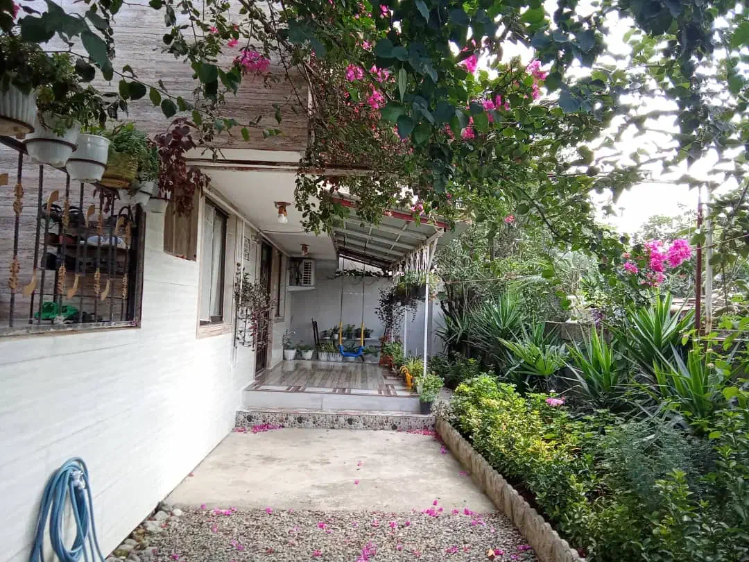 محیطی آرام و دلنشین نزدیک به کوه و جنگل و دریا|اجارهٔ کوتاه‌مدت آپارتمان و سوئیت|کلاچای, |دیوار