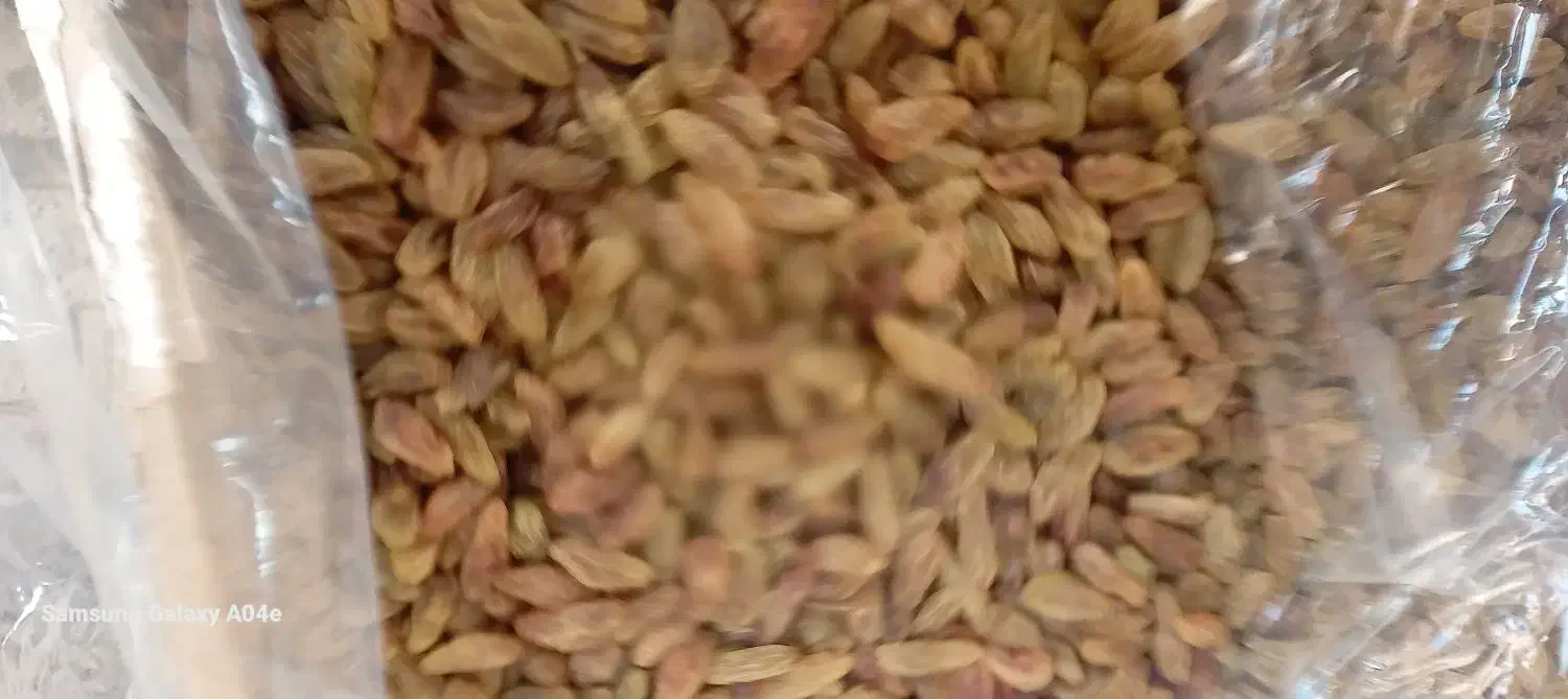 کشمش ومویز|خوردنی و آشامیدنی|نیشابور, شریعتی|دیوار