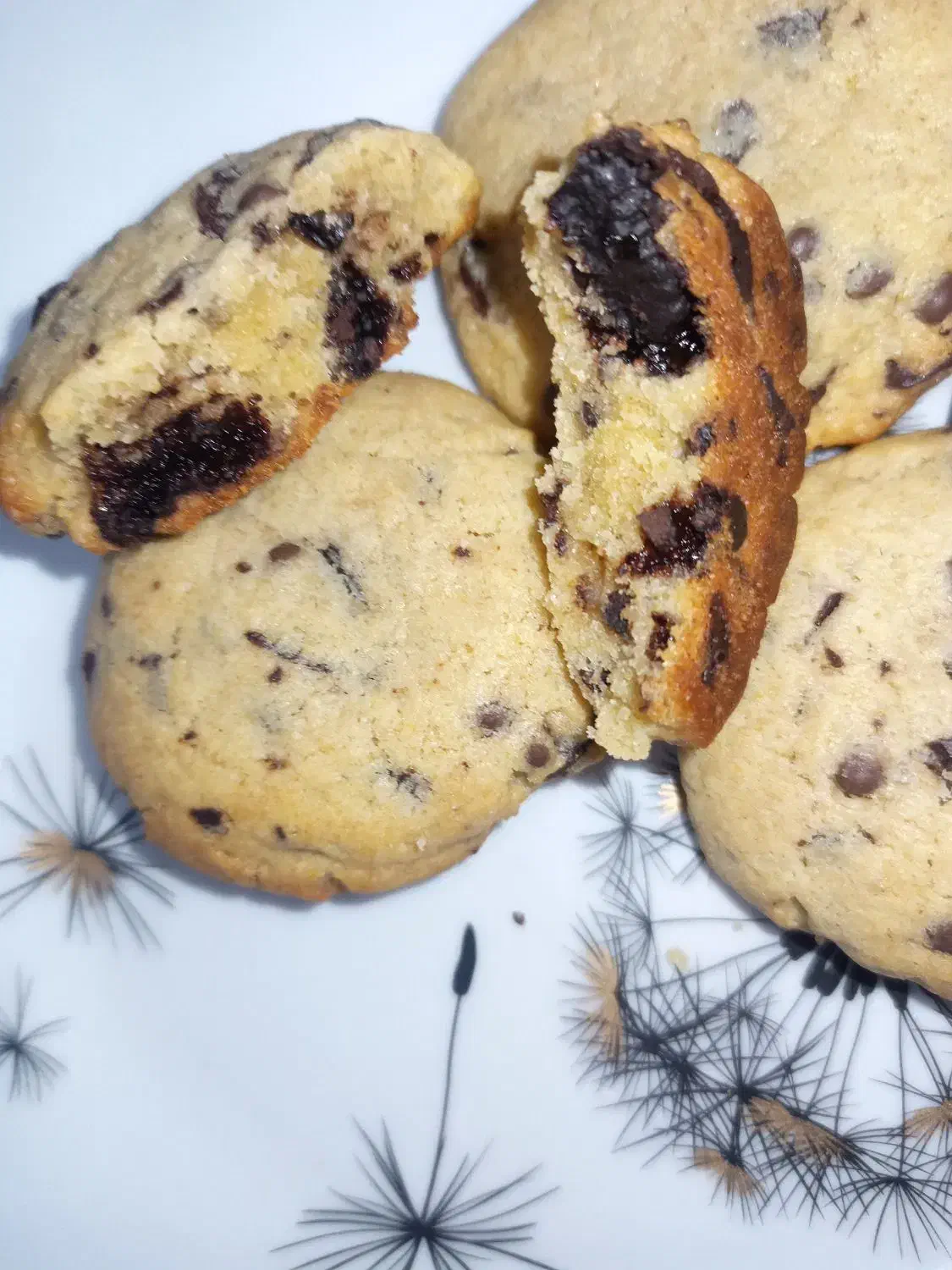 کوکی شکلاتی تازه|خوردنی و آشامیدنی|قم, باجک دو|دیوار