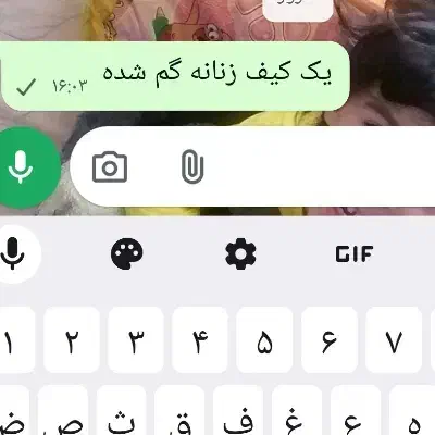 کیف زنانه گم شده|اشیا|شیراز, هفت تنان|دیوار